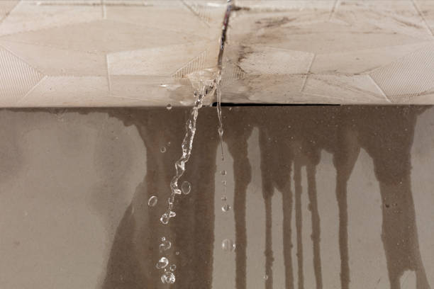 Professional Flood Damage Cleanup technician working in Everett, WA